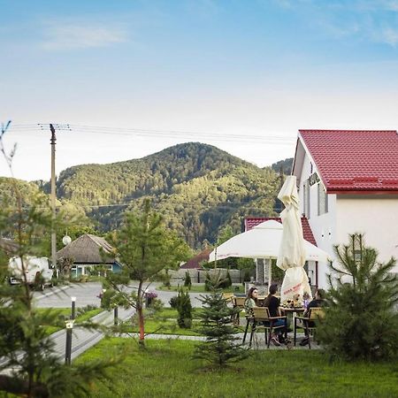 Pensiunea Lavanda, Piatra-Neamt Piatra Neamţ Екстериор снимка