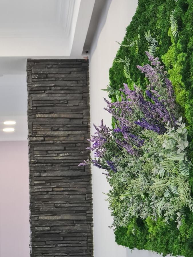 Pensiunea Lavanda, Piatra-Neamt Piatra Neamţ Екстериор снимка