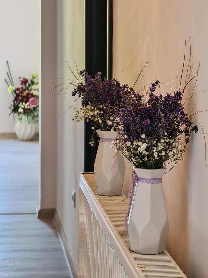 Pensiunea Lavanda, Piatra-Neamt Piatra Neamţ Екстериор снимка