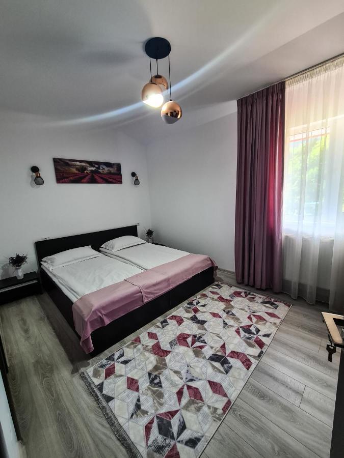 Pensiunea Lavanda, Piatra-Neamt Piatra Neamţ Екстериор снимка