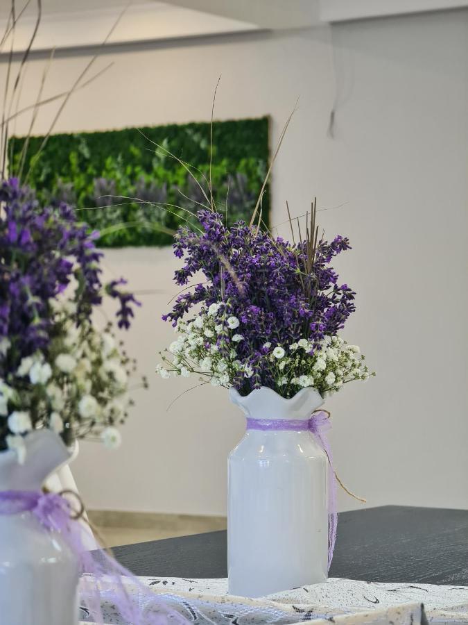 Pensiunea Lavanda, Piatra-Neamt Piatra Neamţ Екстериор снимка